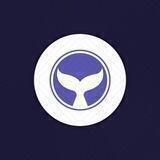 WhalesTrade Official Channel