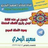 قصائد ومنوعات | سعيد البحري