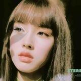 Yoon shim