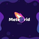 Meteorid DAO - Portal