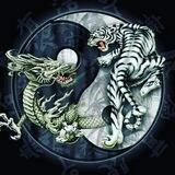 "Berserk" Клуб единоборств