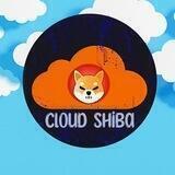 Cloud Shiba