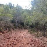Exploradores Desierto de las Palmas