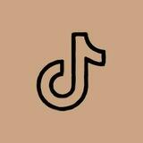 TikTok hub