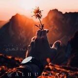 [ بَــٰٓدرُٰ الٰــهّٰٓــدَٰىٰٓۦٰ‏ ]