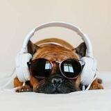 Hör mal rein 🎧🎶