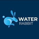 WATER RABBIT-CHINESE ($WAR-RIOR)