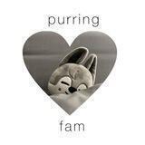 ♡—purr channel