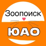 ЗоопоискЮАО | Потеряшки Питомцы ЮАО Москва Зябликово Орехово-Борисово Братеево Бирюлево Чертаново Царицыно Нагатино Нагатинский
