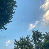 فقدان