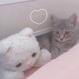 boneka ◞♡