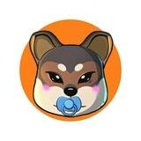 Baby Shikoku Inu - ERC 20