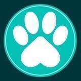 PAW digital - Global