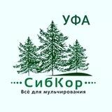 СибКор Уфа
