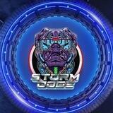 StormDogeOfficial🌍