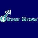 4EverGrow | Portal
