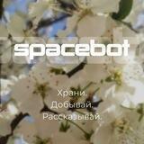 SPACEBOT * КРИПТА В ПОДАРОК * Екатерина