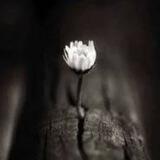 أسود🖤