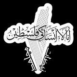 نبضات مجاهد🥷🇵🇸
