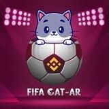 FIFA CAT-AR || KYCed