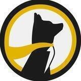 UnderDoge Portal