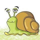 Poison Snail