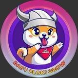 BabyFlokiGrow