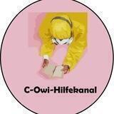 C-OWI-Hilfekanal