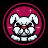 CRAZY HARE PORTAL
