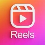 Reels Twitter en