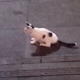 [OPEN] YESIE PPT
