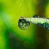 دنیای آرامش💚