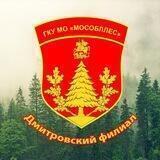 Дмитровский филиал ГКУ МО «Мособллес»