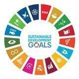 My SDGs Video Contest