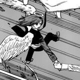 Angel devil