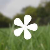 ЗОЖ РЖД🍀