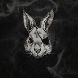 Rabbit Hole Chat 🐇