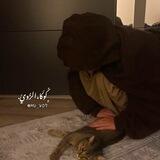 ﮼كُوكَا،الزُويّ.