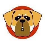 TOSA INU - ENERGY