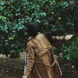 ﮼آلاء