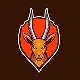Oryx Inu - Official