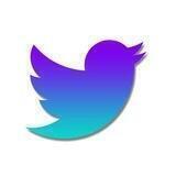 Twitter Bitgert