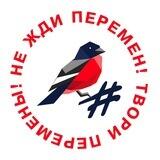 Молодёжка Народного Фронта - Саратовская область