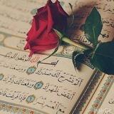 القرآن جنهۃ والجنة غايتُنا💚