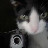 китти кэт 🐈‍⬛