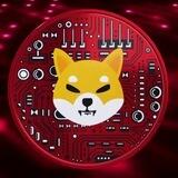 Shiba Inu Shytoshi's Vision Entry