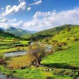 Natural farming مجموعة الزراعة الطبيعية