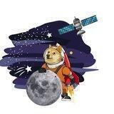 Doge-1 Launch Chat ( WHITELIST TBA)