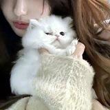 kucing ♥︎