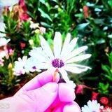 نُّورٌ عَلَى نُور ♥